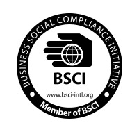 BSCI logo