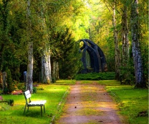 Park path with a bench