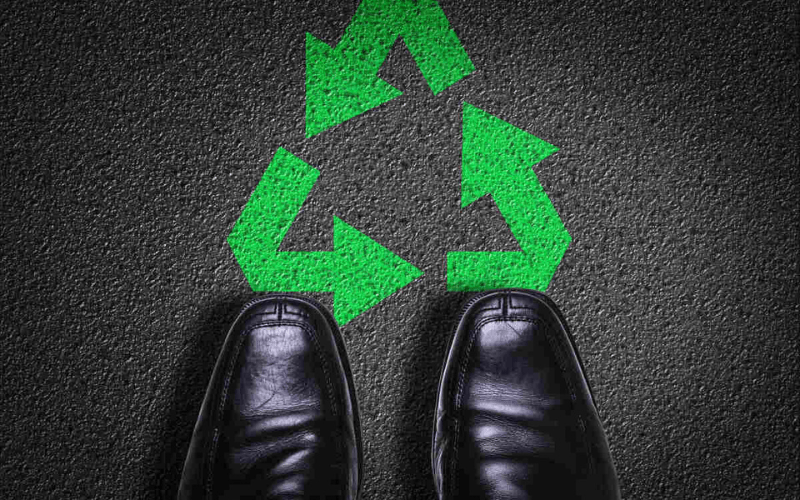 The Green Footprint: Sustainability Pressure